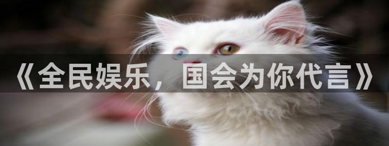 新宝gg一键登录
