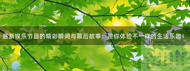 新宝gg一键登录